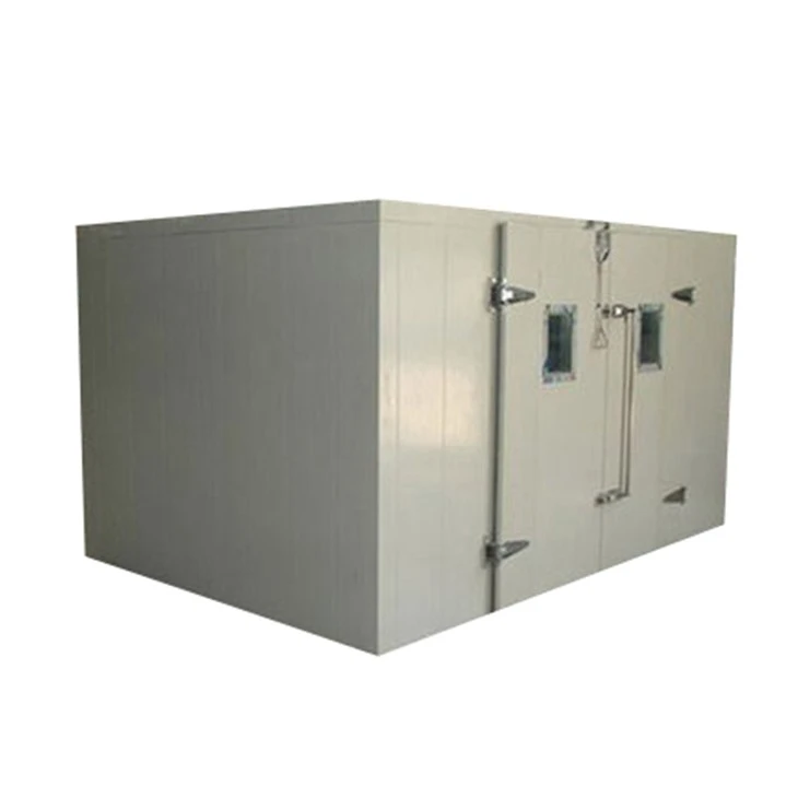 Commercial Cold Room Storage
